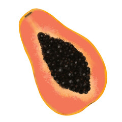 Papaya slice illustration of summer tropical fruits for healthy lifestyle. Digital flat icon isolated on white background. Element for digital resources graphic fruit.