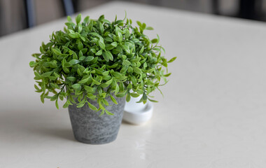 concrete vase with green artificial grass stands on a white table