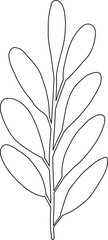 flower outline floral plant branch