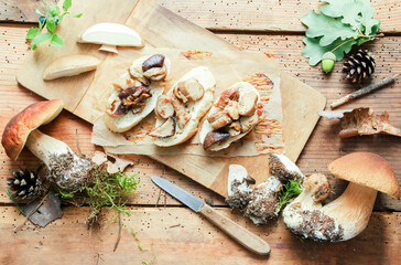 Steinpilz Gericht Brot Pilz frisch gebraten 