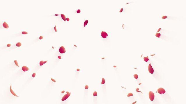 Red Rose Petals Falling on Pastel Background. Red Rose petal falling on pastel background.