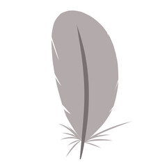 Flat Style Feather
