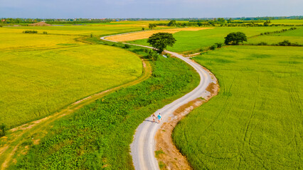 a couple of men and women on vacation in Thailand walking on a curved winding countryside road in the middle of green rice paddy fields in Central Thailand Suphanburi region, drone aerial view - obrazy, fototapety, plakaty