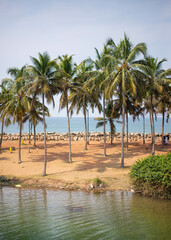 インド旅行　南インド