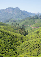 インド旅行　美しい山