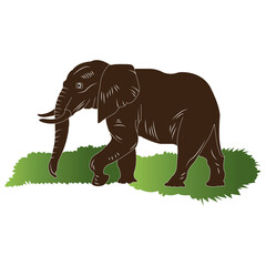 Elephant icon