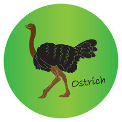 Ostrich icon