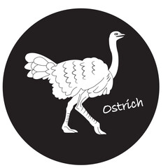 Ostrich icon