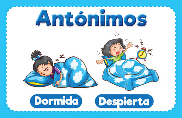 Dormida and Despierta: Spanish Word Card in Vector Style