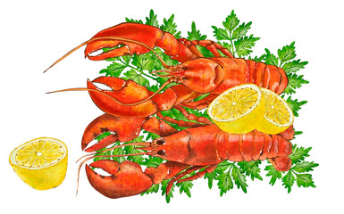 Watercolor seafood illustration, red lobster isolated on white background. Hand drawn illustration in realistic style