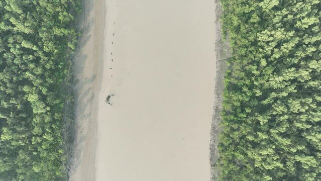 Aerial view of sundarban and sundarban river, khulna, bangladesh