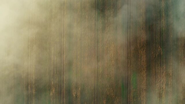 Flying through clouds over a large farm