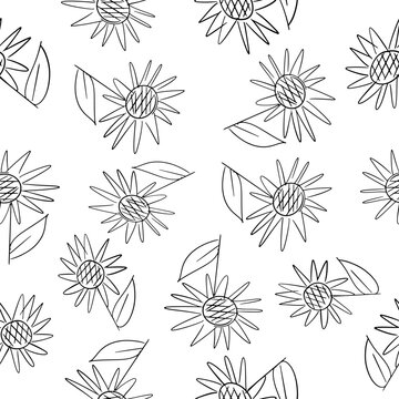 Black drawing line of seamless sunflower pattern, design for fabrics print or wallpaper, hand drawing vector, Isolated floral elements, daisy, aster, chrysanthemum. Line childish drawings