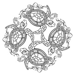 Outline pattern with turtles and seaweed. Coloring page. Hand-drawn vector.