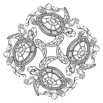 Outline pattern with turtles and seaweed. Coloring page. Hand-drawn vector.
