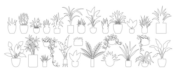 Flower pot. Vector illustration. Gardening allows us to connect with nature and cultivate plants The foliage plant adds refreshing green element to room The decoration flower pot complements overall