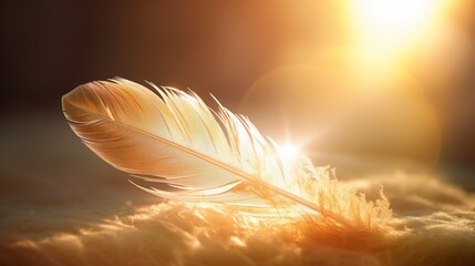A golden feather illuminated by sunlight, radiating an inner glow. - obrazy, fototapety, plakaty