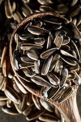 sunflower seeds, food ingredients