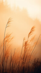 vertical background autumn dry grass in the morning fog, valley in the sun landscape