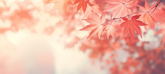 autumn leaves background