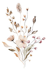 Bouquet with watercolor autumn wild flowers and leaves, Brown and beige wedding illustration