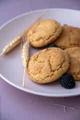 chocolate chip cookies on a plate