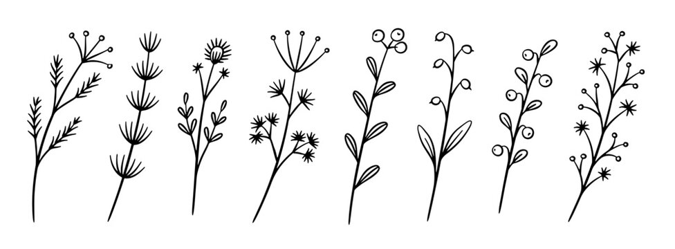 Clipart black and hot sale white