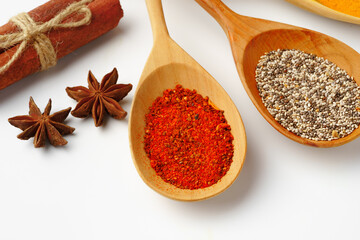 Spice in wooden spoons on white background