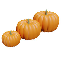 Pumpkin Illustration