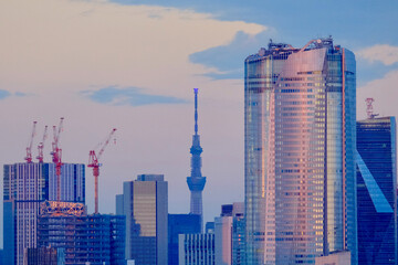 夕陽が反射するビルと東京スカイツリー