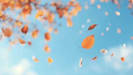 autumn leaf fall, falling leaves on the background of a light blue autumn sky, yellow and red leaves flying from the sky, view up