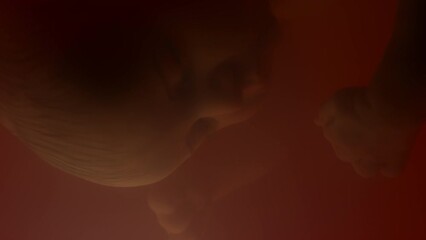 Macro closeup of sleeping fetus facing down in amniotic fluid inside red womb