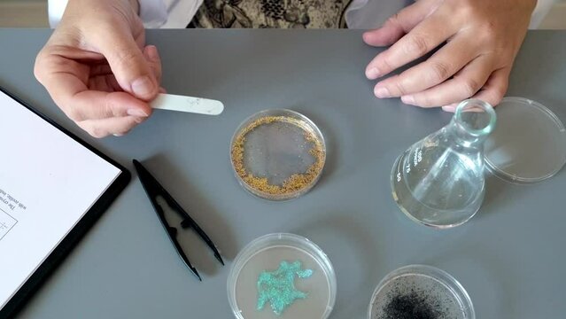 Unrecognizable female scientist analyzing dangerous microplastics behavior in the environment. Close up of chemist hands working with golden glitter sample on a petri dish in research lab.