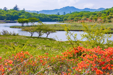 日本の風景　初夏の赤城山　覚満淵
