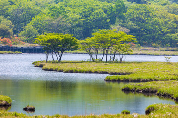 日本の風景　初夏の赤城山　覚満淵