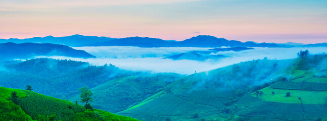 Naklejka premium Terraced Rice Field in Chiangmai, Thailand, Pa Pong Piang rice terraces, green rice paddy fields during rain season during sunrise with mist and foggy clouds