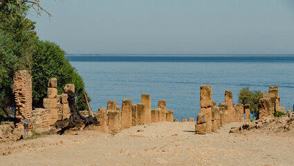 Ruins of the Roman Archeological Park of Tipaza ( Tipasa ), Algeria with the Meditarranean sea in the background.