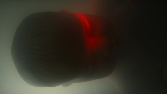 Closeup of fetus in late development stage sleeping in horizontal position inside artificial womb being scanned with red light