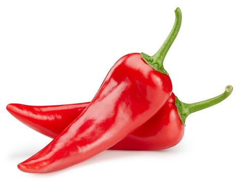 Ripe red hot chili  peppers vegetable isolated