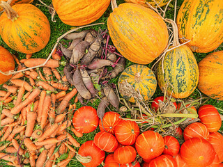 Harvesting. Vegetables from the garden carrots, beets and pumpkins.