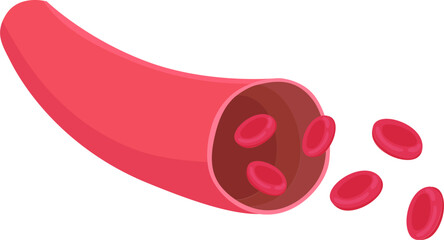 vector illustration of artery red blood cells stream flow, microbiological medical erythrocyte vessel isolated on transparent background. Art design medicine. 