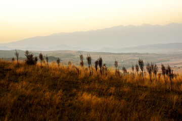 misty morning sunrise