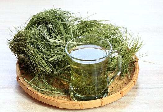 Herbal tea from Equisetum arvense, the field horsetail or common horsetail, dried herb in the basket on wooden table. It is used in traditional medicine, rich in silicon.
