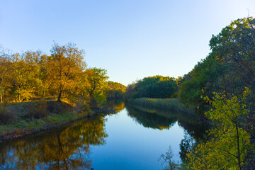 calm river flow among forest  at the evening