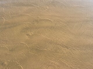 Wet sea sand, sandy seashore, natural background