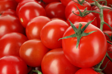 Many fresh ripe cherry tomatoes as background, closeup