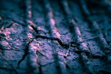 Intricate Patterns of Off-Road Journeys