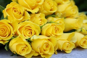 Beautiful bouquet of yellow roses on light table, closeup