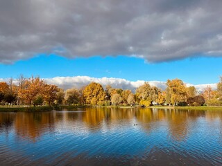 Autumn trees reflection on the pond surface in the park
