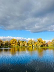 Autumn trees reflection on the pond surface in the park